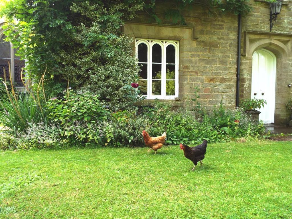 Old Vicarage B&B Coleford  Exteriér fotografie